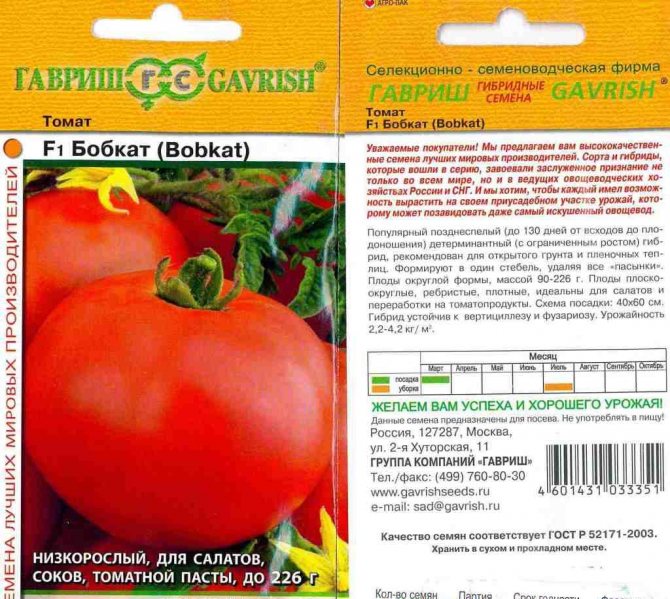 Характеристика и свойства томатов Донна Анна, рекомендации по выращиванию сорта