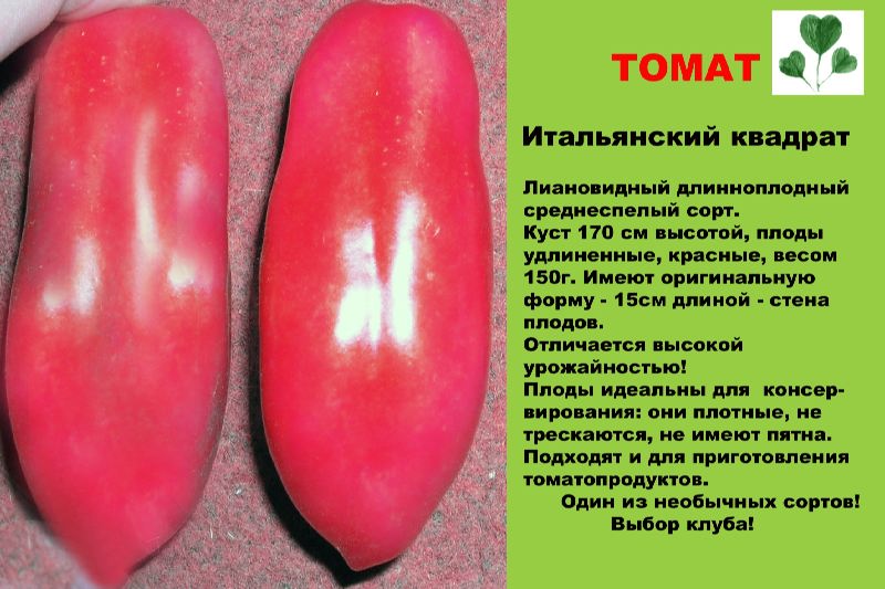 Описание сорта томата аурия, особенности выращивания и урожайность