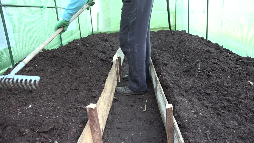 Как приготовить почву для огурцов в теплице весной: какая земля нужна, подготовка грунта