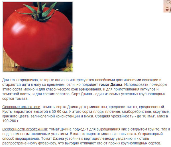 Лучшие сорта безрассадных томатов
