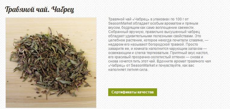 Тимьян: лечебные свойства и противопоказания для организма человека