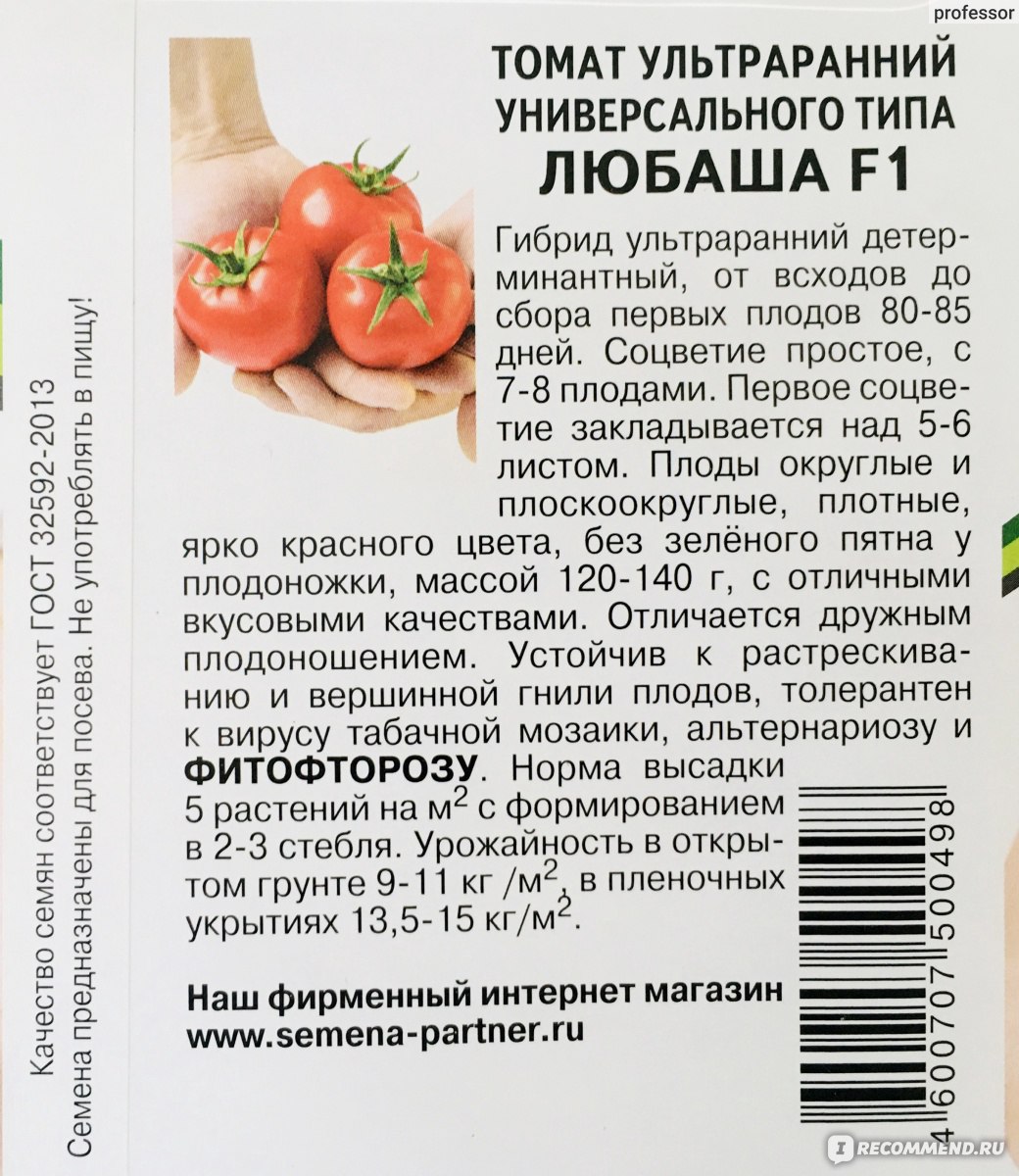 Описание сорта томата крем брюле, особенности выращивания и уход