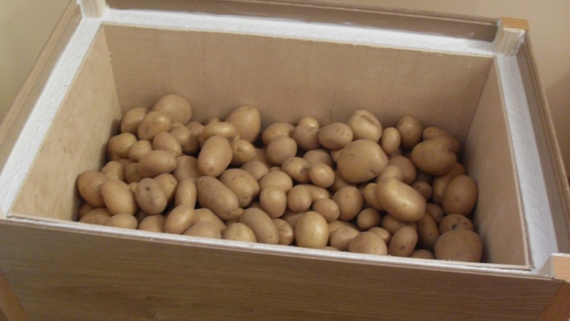 Как и где хранить картофель: подготовка, условия, способы и ошибки