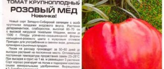 Томат малиновый гигант: описание сорта, отзывы, фото, характеристика | tomatland.ru