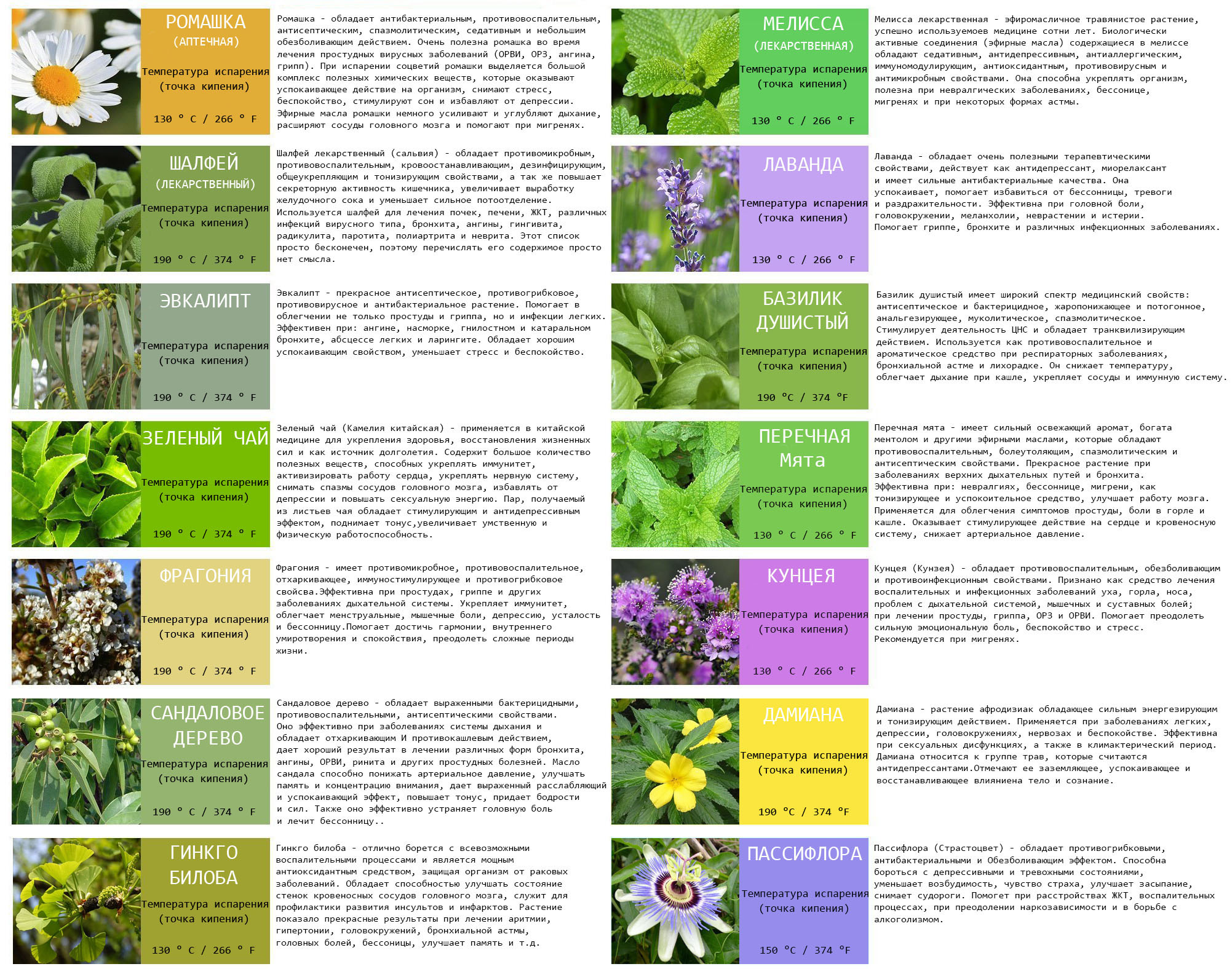 Полные названия растений. Таблица лекарственных растений целебные свойства. Полезные травы. Лечебные травы список. Нелекарственные растения список.