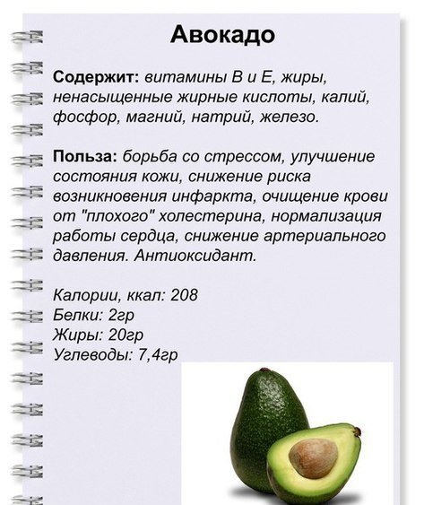 Авокадо: польза и вред для организма, калорийность, состав