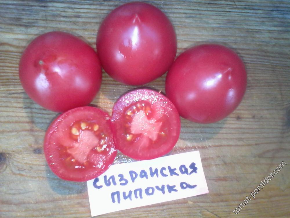 Описание сорта томата сызранская пипочка, выращивание и уход - всё про сады