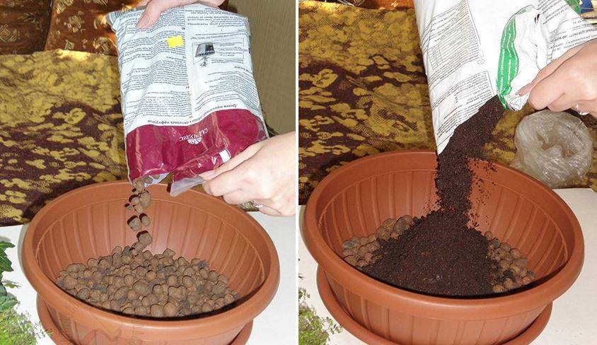 Как приготовить грунт и субстрат для выращивания рассады