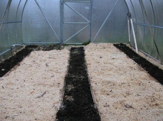 Подготовка почвы в теплице под помидоры весной: пошаговое руководство