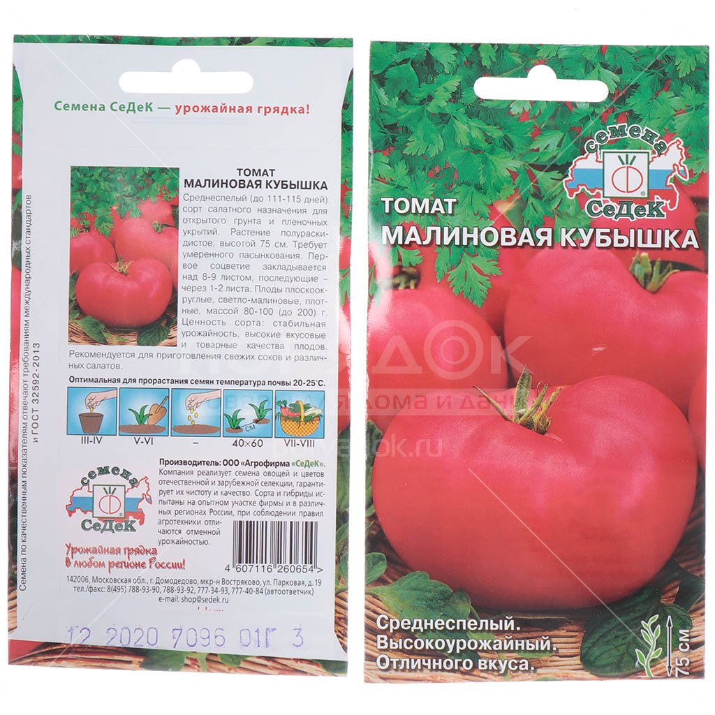 Урожайность, характеристика и описание сорта томата кубышка - всё про сады