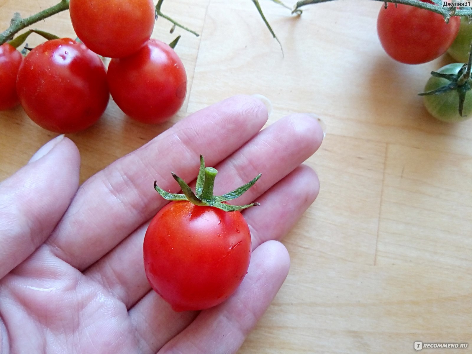 Описание самых лучших, сладких и урожайных сортов помидоров черри