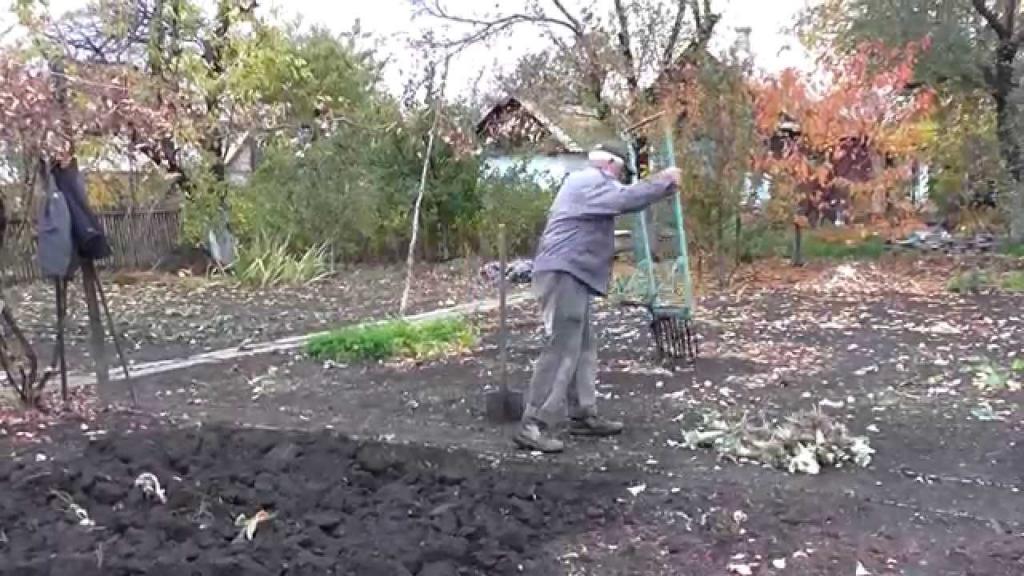 Нужно ли осенью перекапывать землю в огороде: за и против