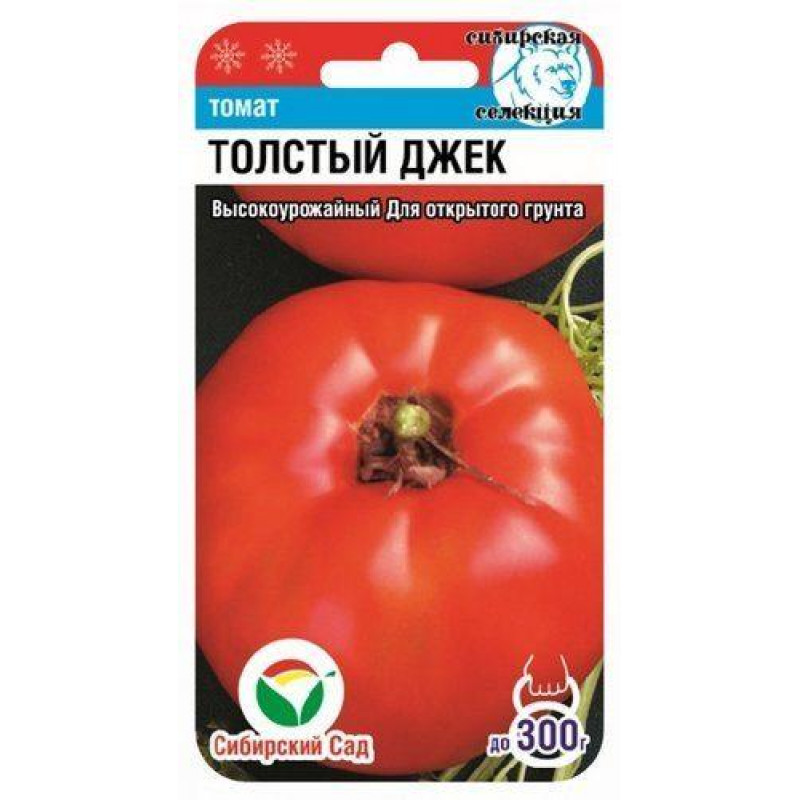 Характеристика и описание сорта томата голицын, советы по выращиванию