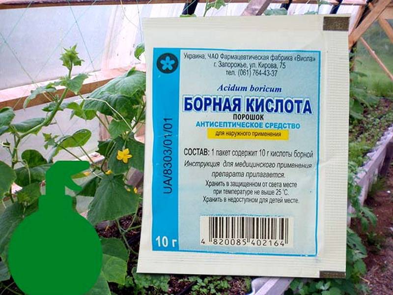 Борная кислота: применение на огороде и в саду. опрыскивание и подкормка растений борной кислотой