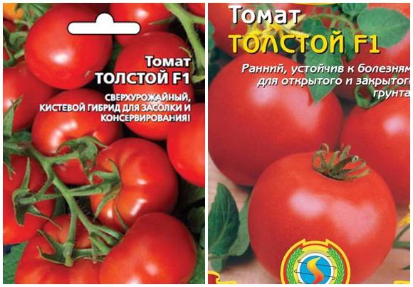 Томат полфаст f1: характеристика и описание сорта, отзывы, урожайность