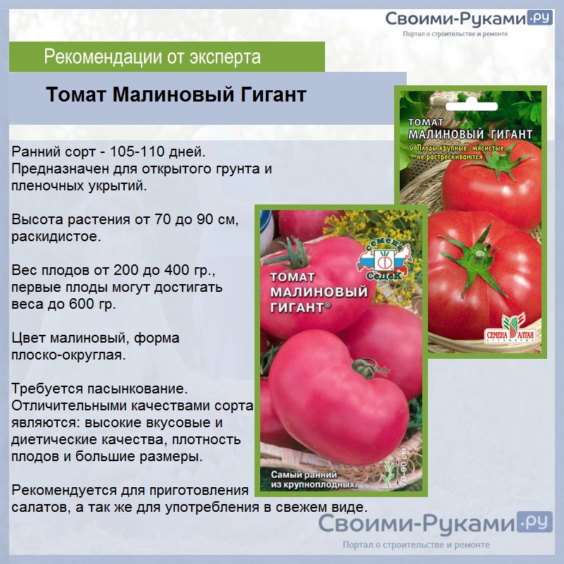 Описание сорта томата Малиновый гигант, особенности выращивания и ухода
