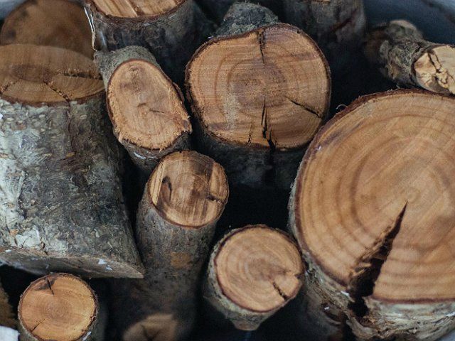 Выбираем дрова правильно: что подходит для шашлыка и копчения