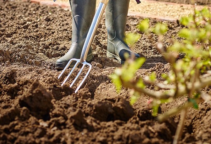 Когда лучше копать огород: осенью или весной, и почему