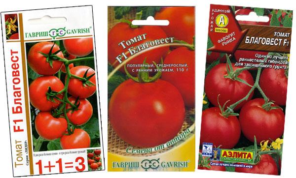 Описание сорта томата боливар f1, его характеристика и урожайность – дачные дела