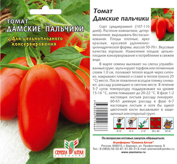 Как посадить и вырастить томат «дамские пальчики»
