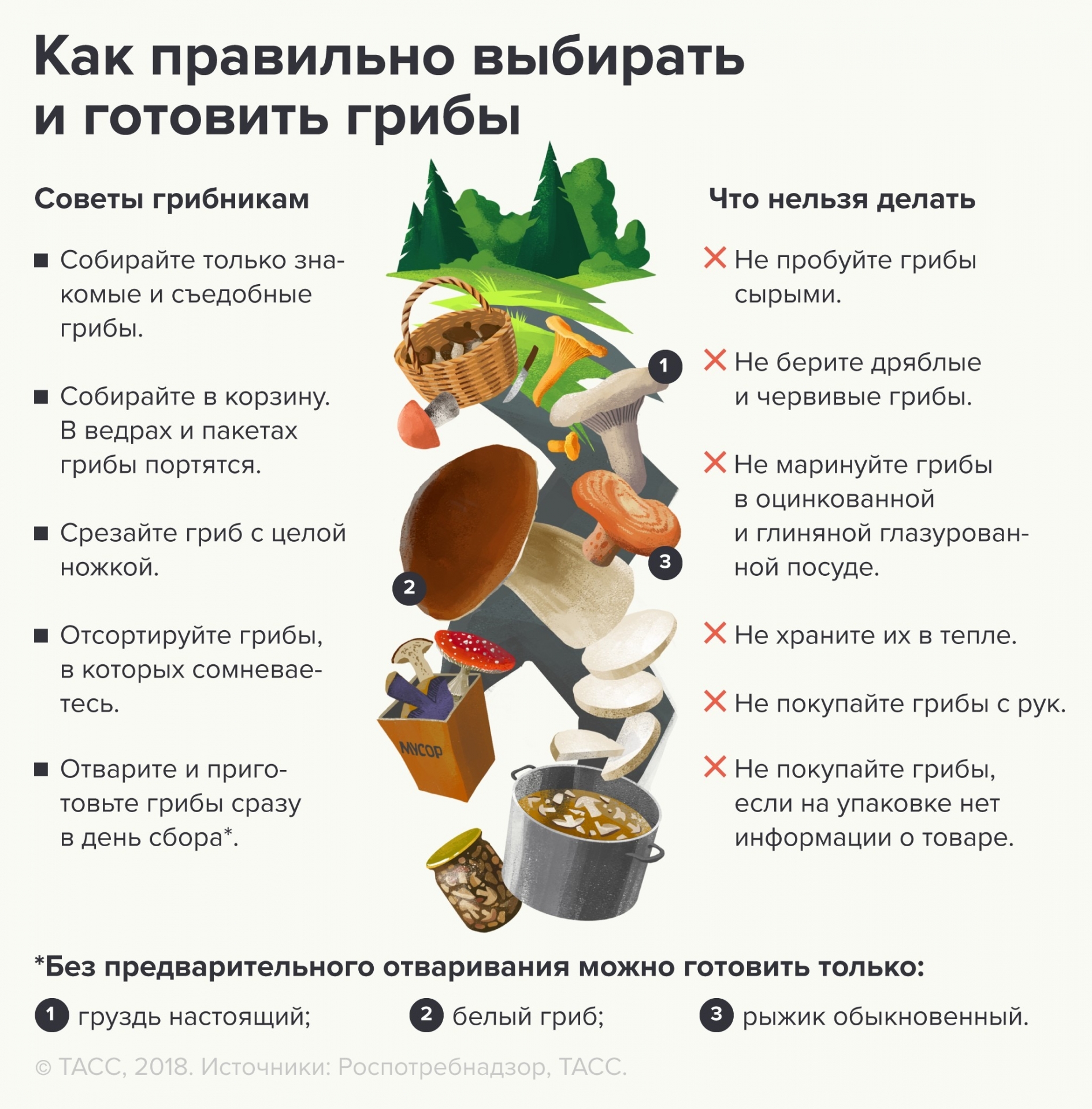 Можно ли в 2020 году собирать грибы и ягоды в лесу: действует ли запрет, что за инициатива на ограничение сбора ягод и грибов в лесу