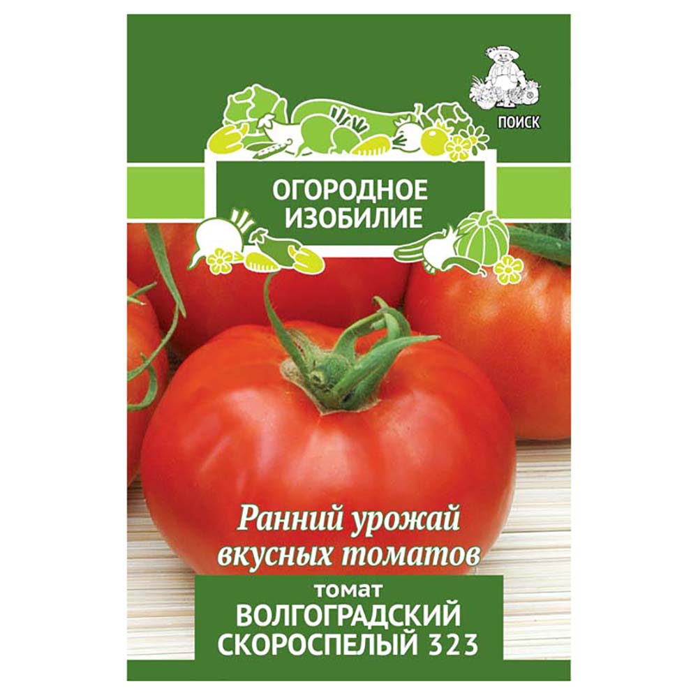 Проверенный временем сорт помидоров волгоградский скороспелый 323