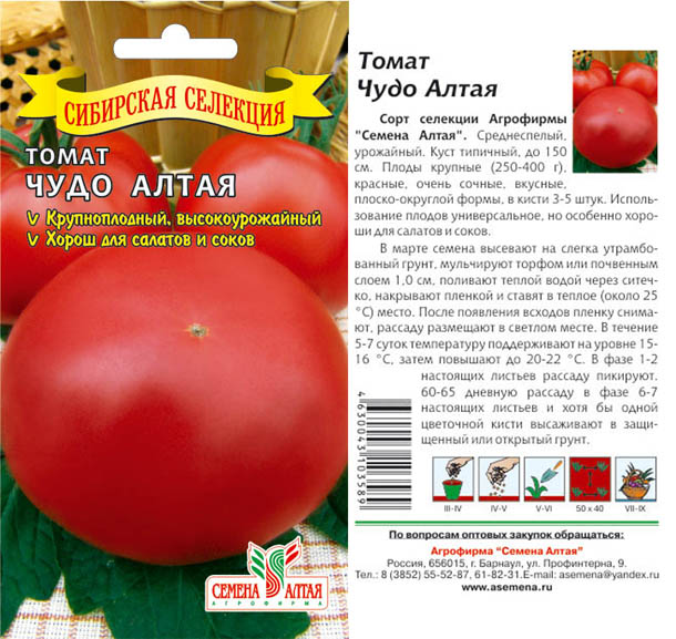 Выращивание томатов: выращивание рассады