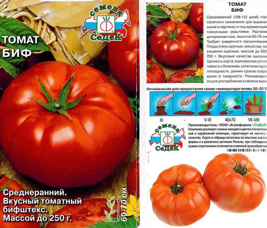Томат полбиг: отзывы, фото, урожайность, описание и характеристика | tomatland.ru