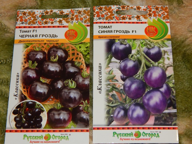Томат черная гроздь: описание, отзывы, фото, характеристика | tomatland.ru