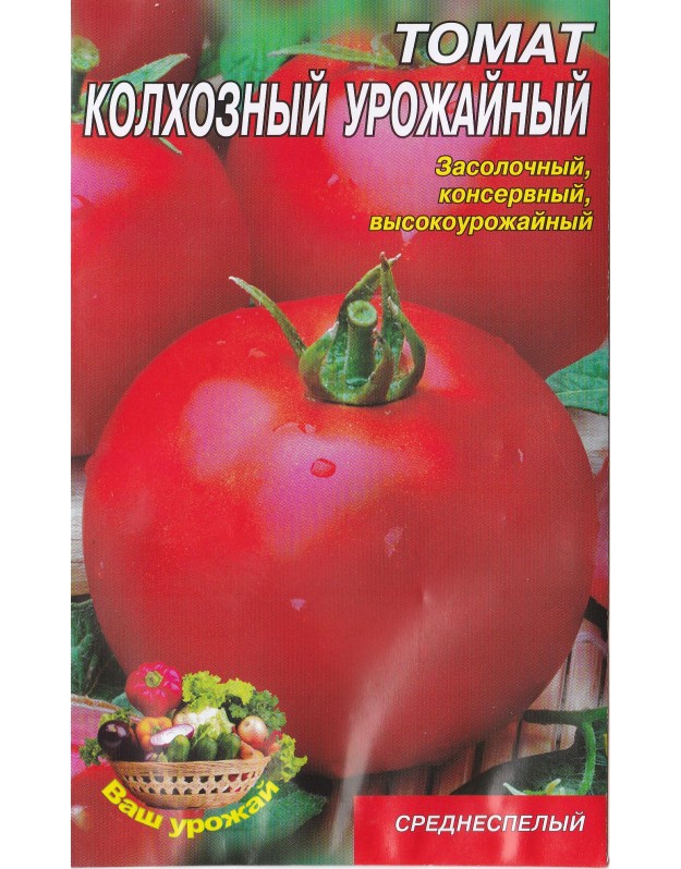 Томаты колхозные описание сорта фото. Помидоры сорт Колхозный Урожайный. Томат Колхозная Королева. Томат Колхозная Королева семена. Колхозная Королева томат помидор.