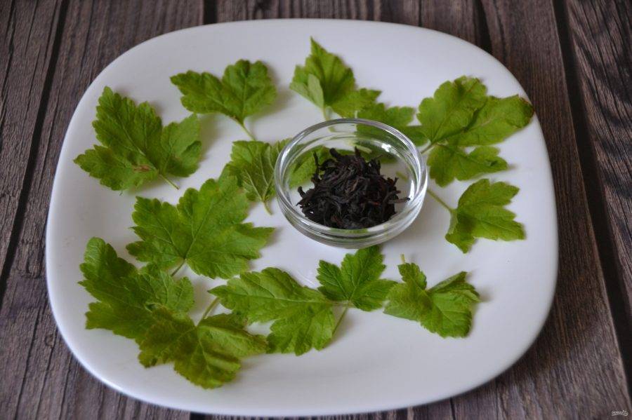 Чай из листьев смородины: польза и вред, показания, рецепты