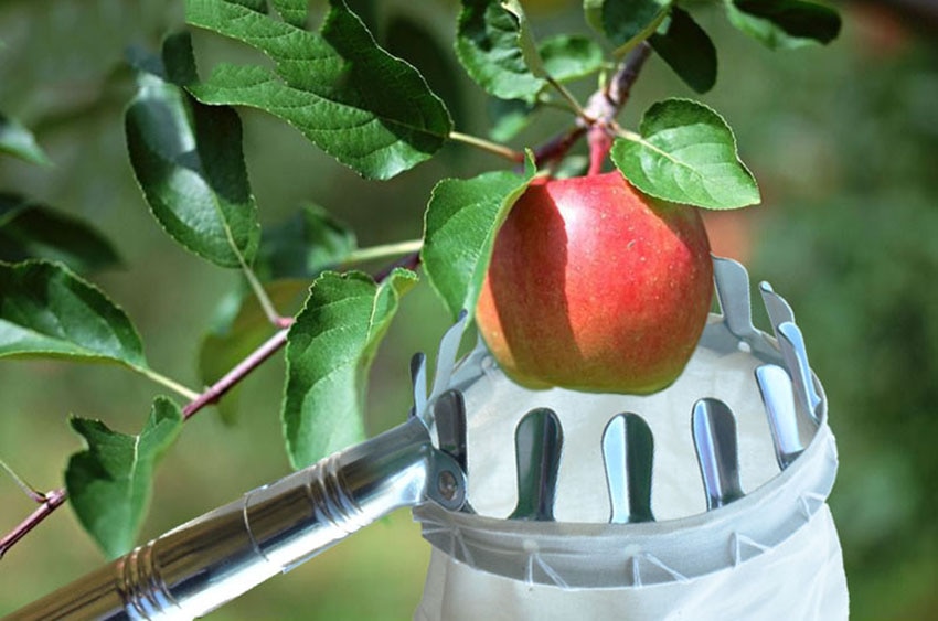 Как сделать дробилку для яблок