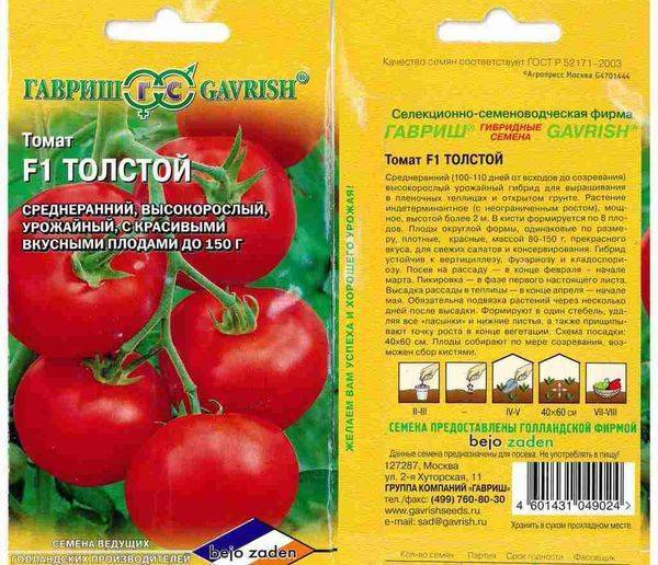 Некапризный в уходе и идеально подходящий для засолки томат «французский гроздевой»: обзор сорта и нюансы ухода