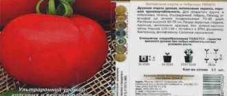 Подарок сибирских огородников — неприхотливый сорт томата «хлебосольные», описание, характеристики, советы