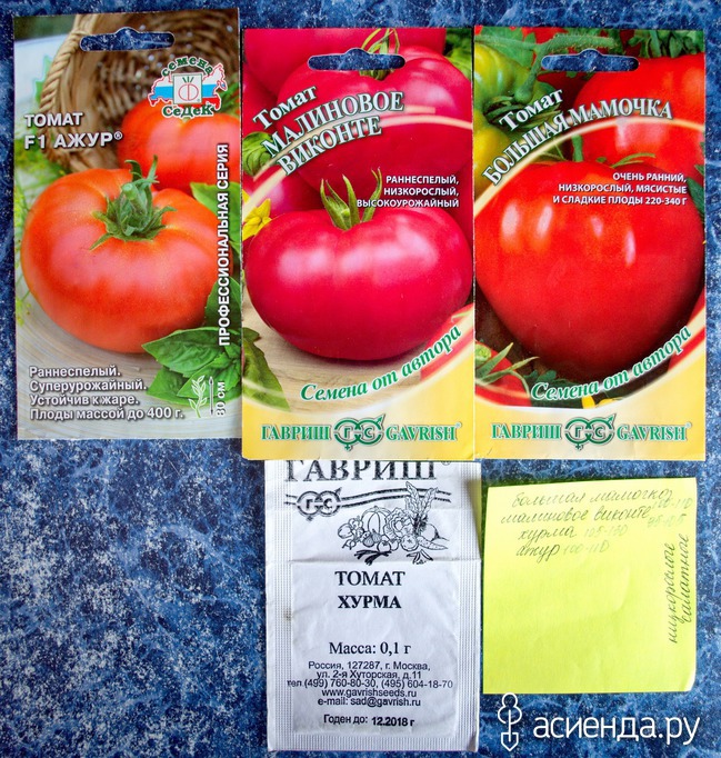 Описание томатов сорта Матиас f1 и их характеристики