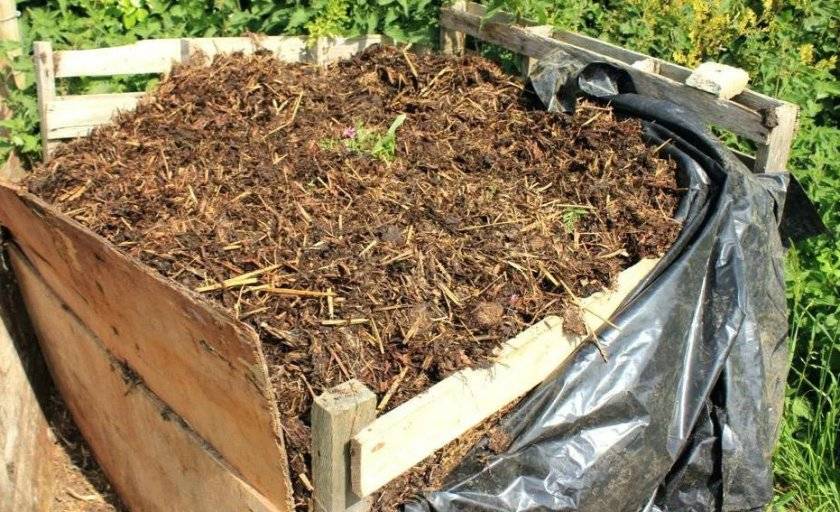 Переработка пищевых отходов в удобрения: как сделать органический компост дома на кухне и на даче, что можно класть в него, правила и нюансы компостирования