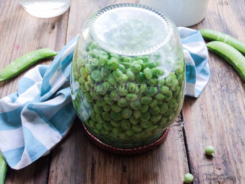 Рецепты консервирования зеленого горошка на зиму в домашних условиях и хранение
