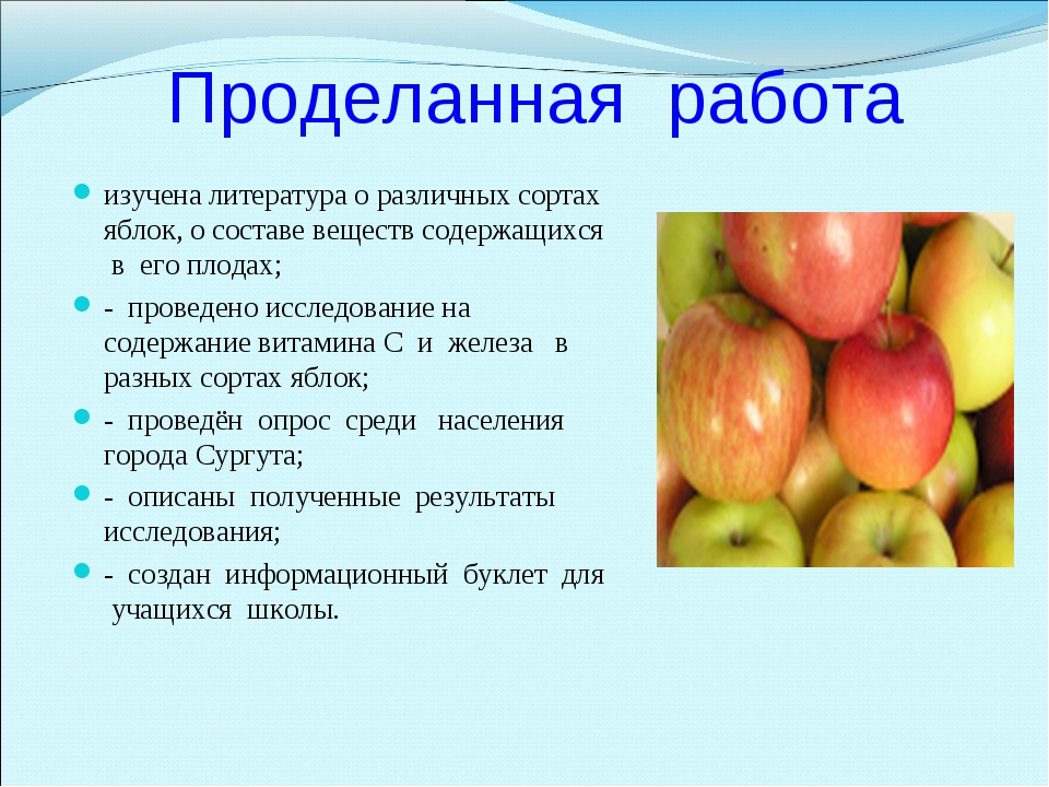 Описание сорта яблони симиренко: фото яблок, важные характеристики, урожайность с дерева