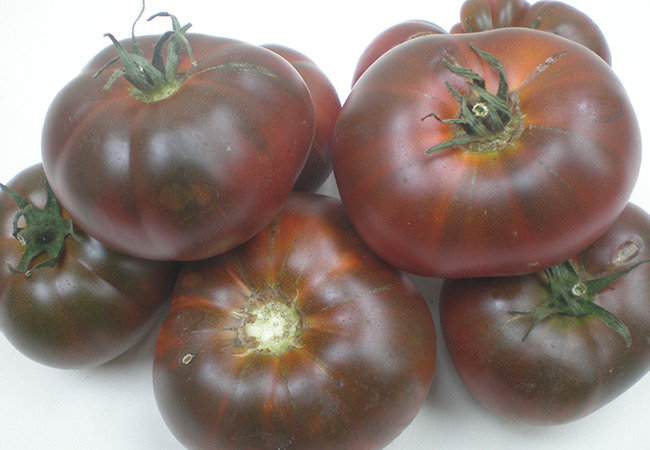 Томат поль робсон. крепкий и устойчивый сорт — томат поль робсон: полное описание помидоров и их характеристики | зелёный сад
