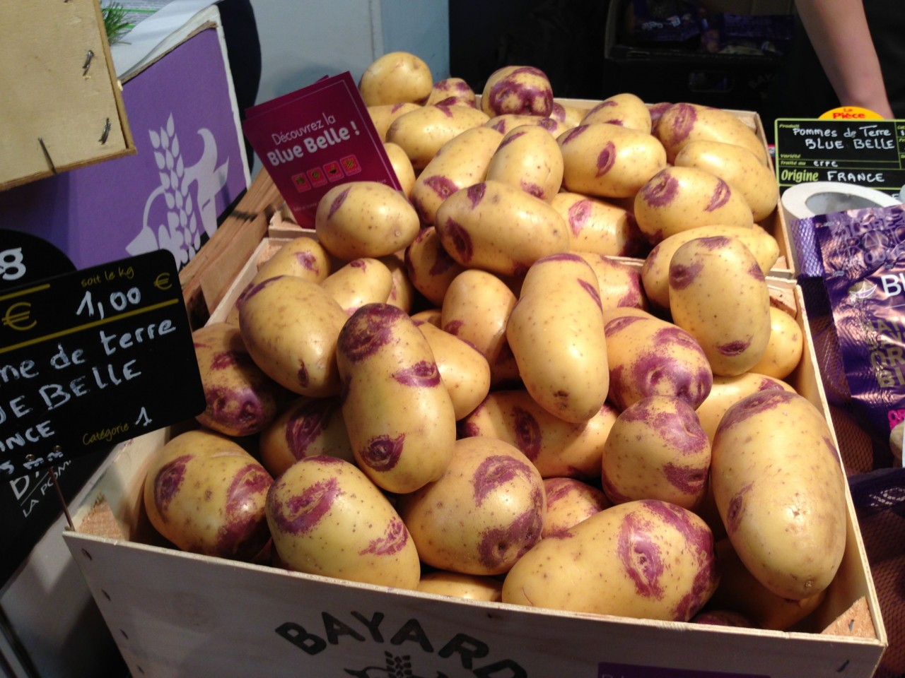 Картошка «синеглазка»: характеристика, агротехника выращивания