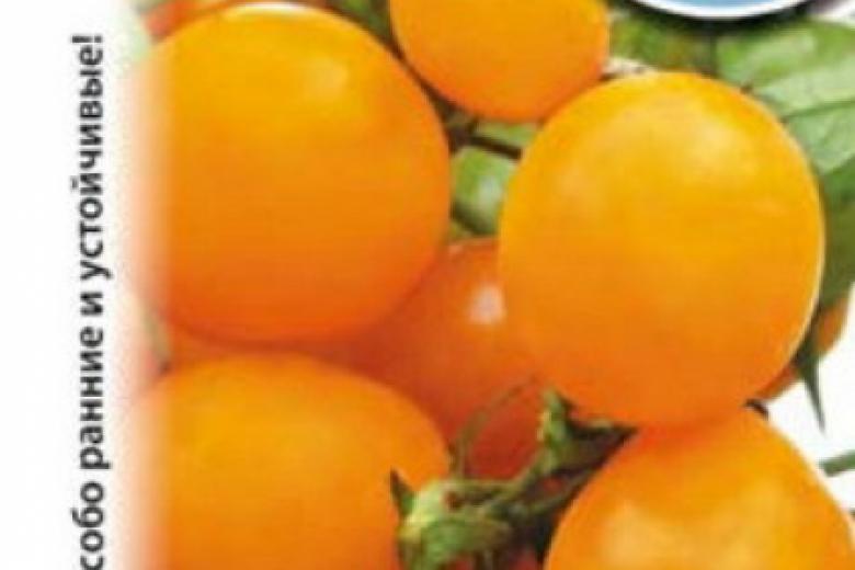 Томат золотой самородок f1: описание сорта помидоров, отзывы фермеров о его выращивании и секреты ухода за ним