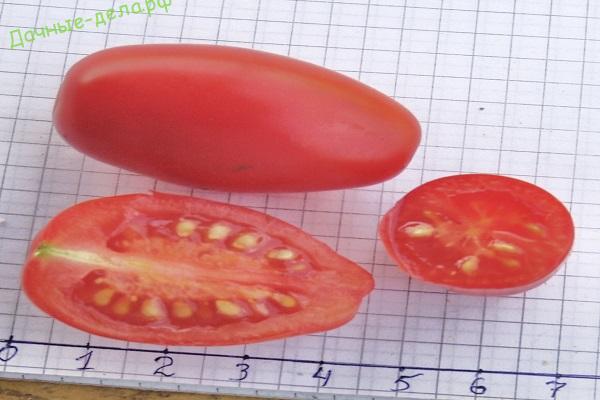 Описание сорта томата черрипальчики и его характеристика