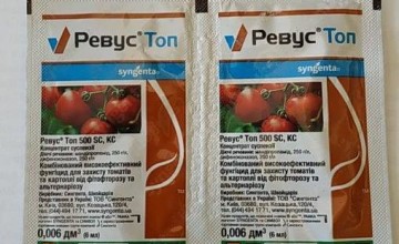 Надежный препарат на страже здоровья томатов — «пеннкоцеб» для обработки помидоров: инструкция по применению