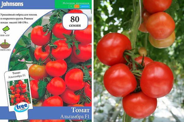 Описание гибридного сорта томата Альгамбра и выращивание на участке