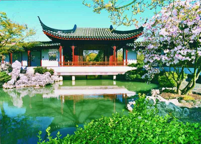 Сад в китайском стиле: приемы создания гармонии от азиатских мастеров