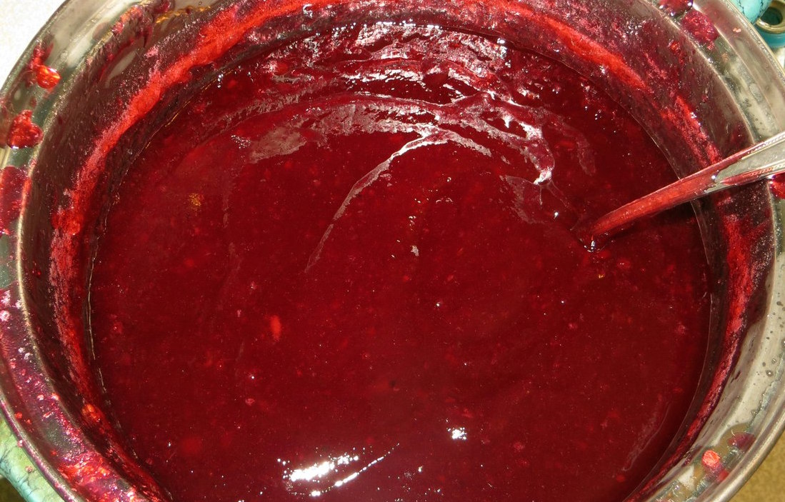 Как правильно сделать вкусное желе из ягод красной смородины: самые простые рецепты на зиму с пошаговыми фото и видео инструкциями | qulady