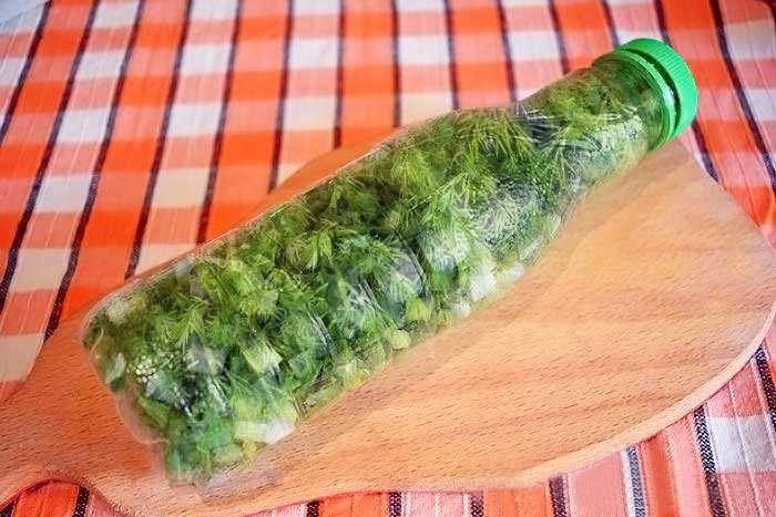 Как заморозить зелёный лук на зиму в холодильнике в пакетах: советы