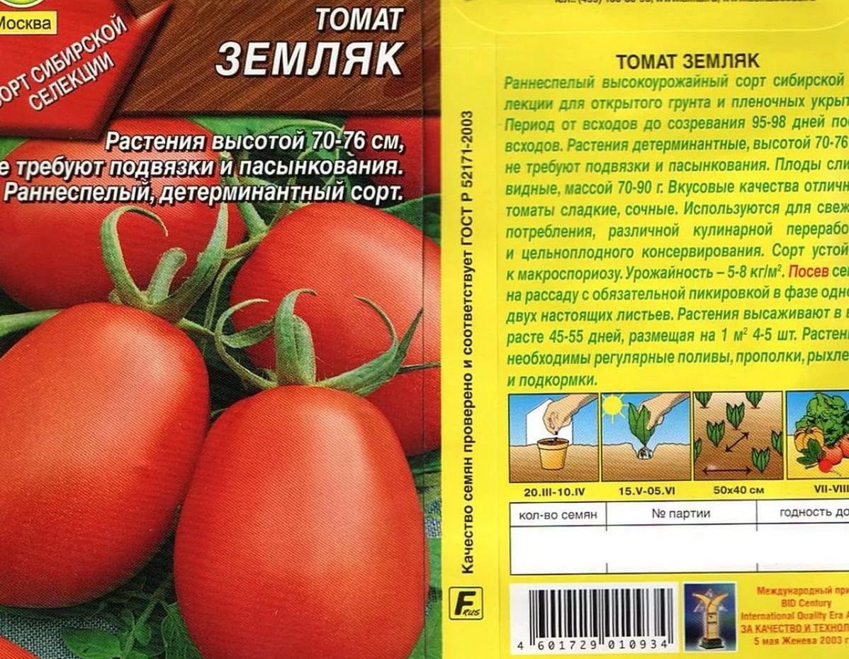 Томат "земляк": характеристика, описание сорта помидор и их фото, а также советы по выращиванию русский фермер
