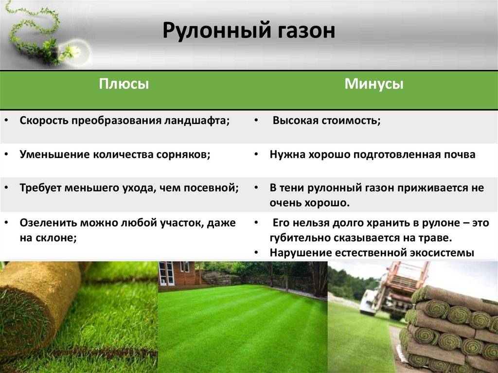 Укладка искусственного газона - 100 фото и видео правил укладки и последующего ухода