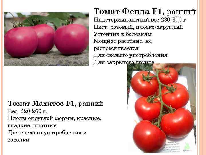 Томат "пинк импрешн f1" - очень скороспелый томат, родом из японии русский фермер
